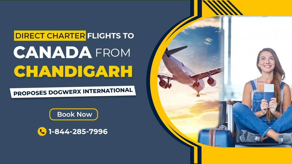 Direct Charter Flights to Canada from Chandigarh: Proposes Dogwerx International