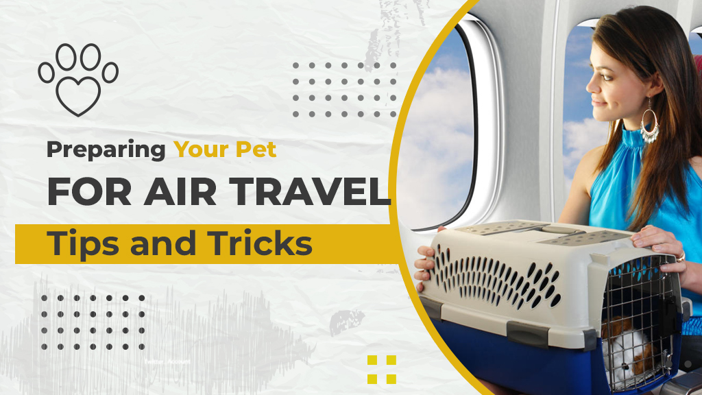 Preparing Your Pet for Air Travel: Tips and Tricks