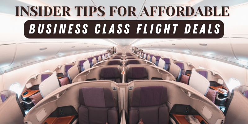 Business Class Travel Without Breaking the Bank: Insider Tips for Affordable Flights