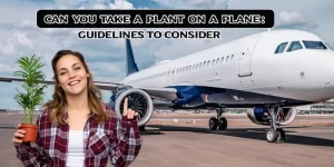 Guidelines to Consider for plants which you can carry on plane