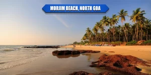 Morjim Beach North Goa