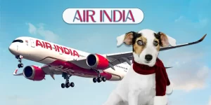 Air India - Pet Friendly