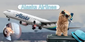 Alaska Airlines - pet friendly