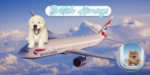 British Airways - Pet Friendly