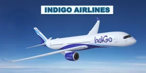 Indigo Airlines - Pet Friendly